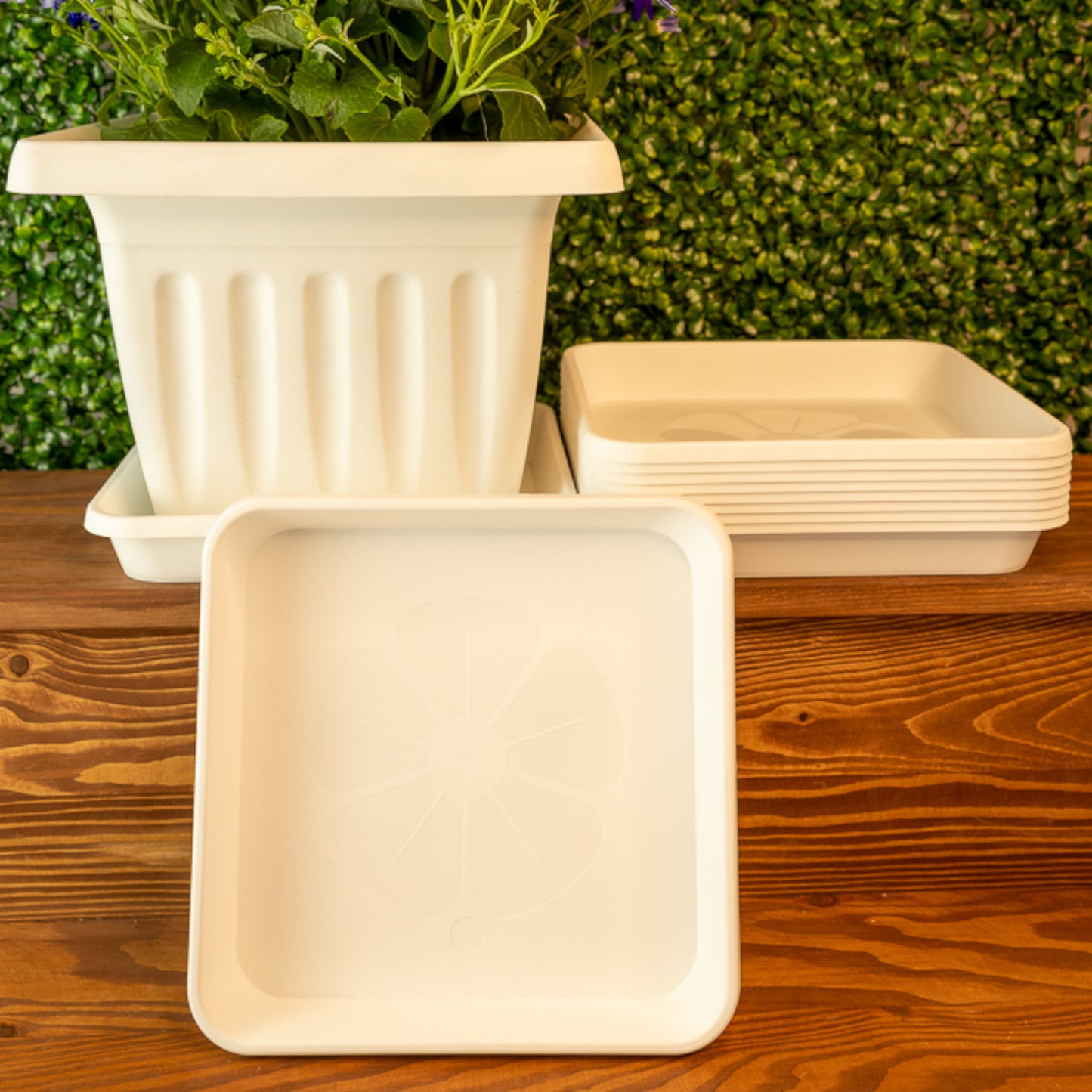 Square Plant Pot Saucers Set Of 10